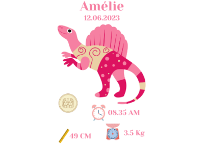 affiche naissance rose